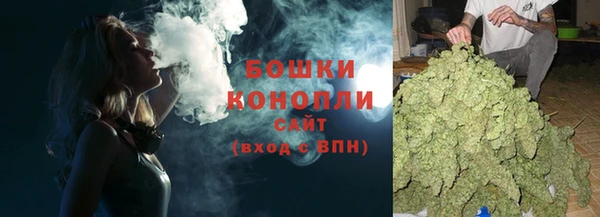 сатива Краснотурьинск