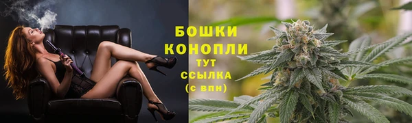сатива Краснотурьинск