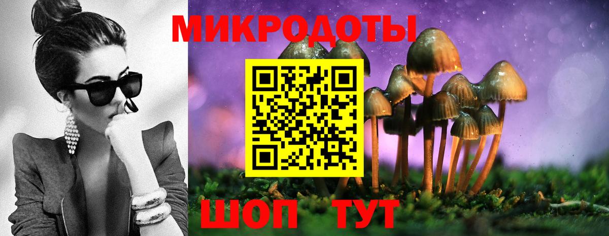 Галлюциногенные грибы ЛСД  Вход с VPN  Галлюциногенные грибы мухоморы  Невинномысск 